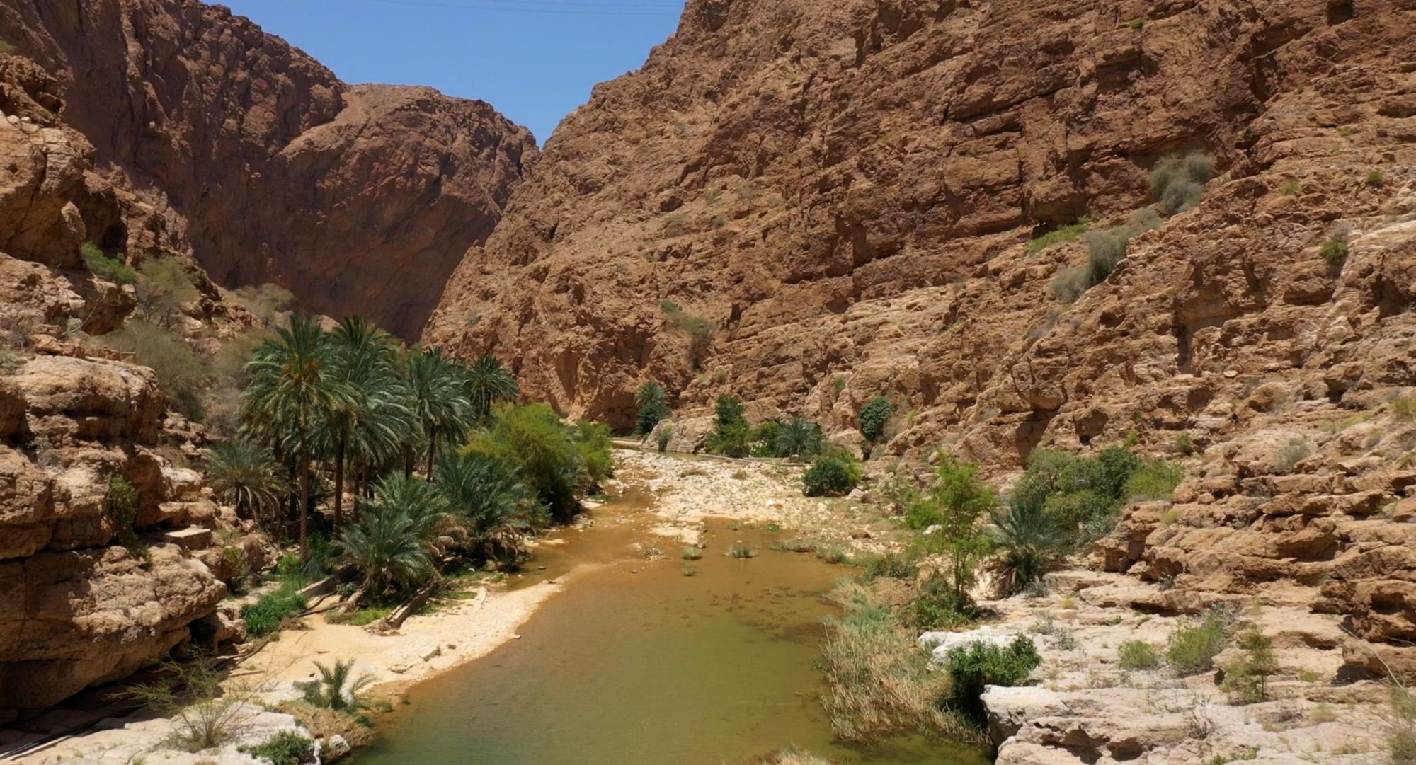 Il canyon di Wadi Shab con le palme e il corso d'acqua tra le pareti di roccia